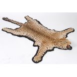 Taxidermy: A Leopard skin rug, with a mounted head, on felt backing,