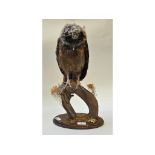 Taxidermy: An Indian Wood Owl, mounted on a branch, on an oak plinth base,