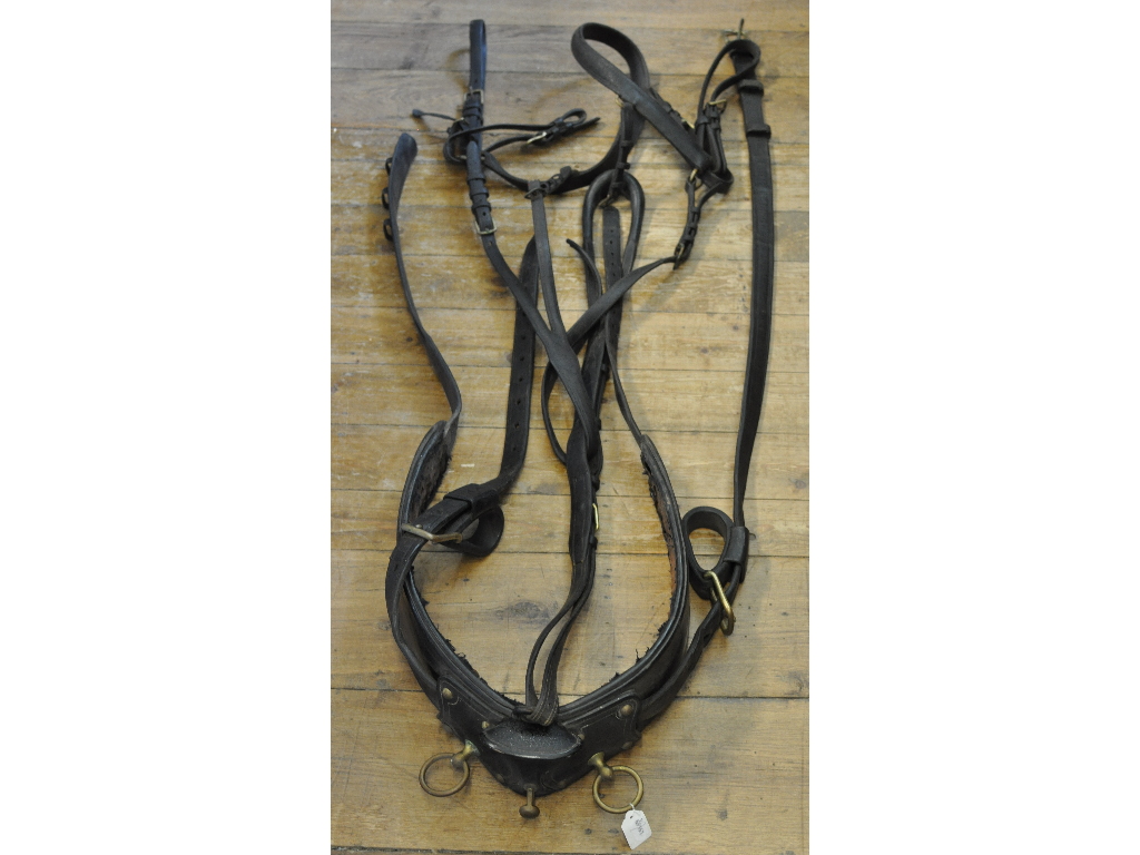 A leather horse harness