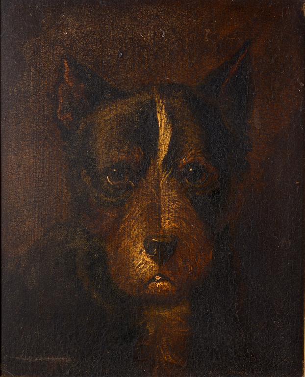 English school 19th century, a study of a dog's head, oil on board, 24.