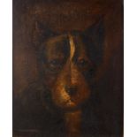 English school 19th century, a study of a dog's head, oil on board, 24.