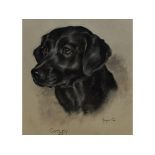 Marjorie Cox, a study of a black labrador, Cotley, pastel, inscribed, signed and dated 1964, 35.