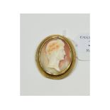 A shell cameo brooch, carved a Roman's head, in a yellow colured metal mount.