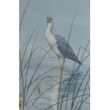 Jeremy Paul, Pied Heron, gouache, signed,