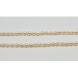 A single strand pearl necklace,