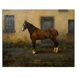 English school, early 20th century, Pasha, a favourite horse, oil on canvas,