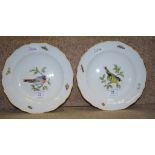 A pair of Meissen porcelain bird side plates, the edges decorated insects,