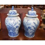 A pair of Chinese vases and covers, deco