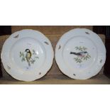 A pair of Meissen porcelain bird plates,