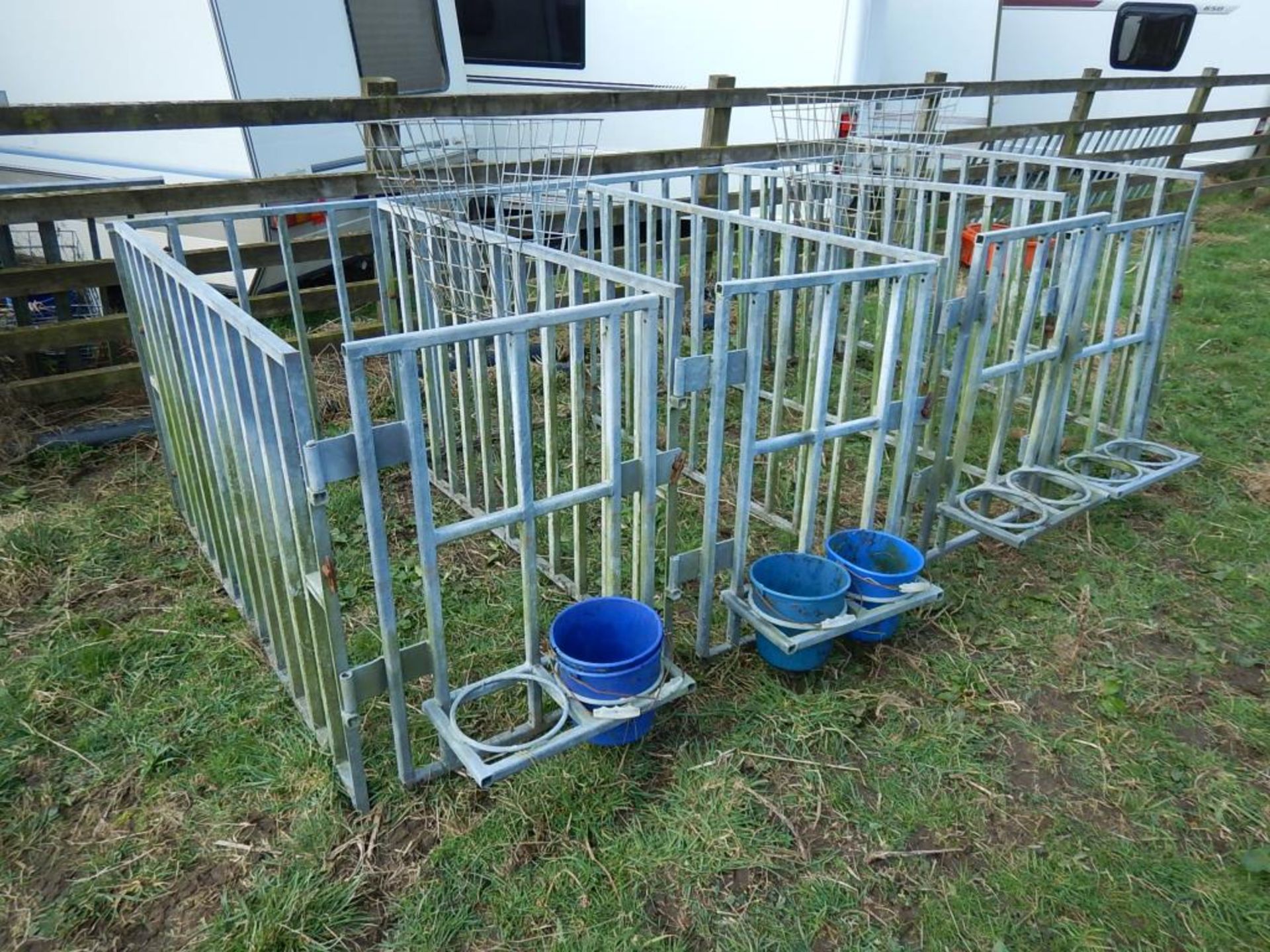 4bay calf feeder pens with mangers and bucket feeder brackets