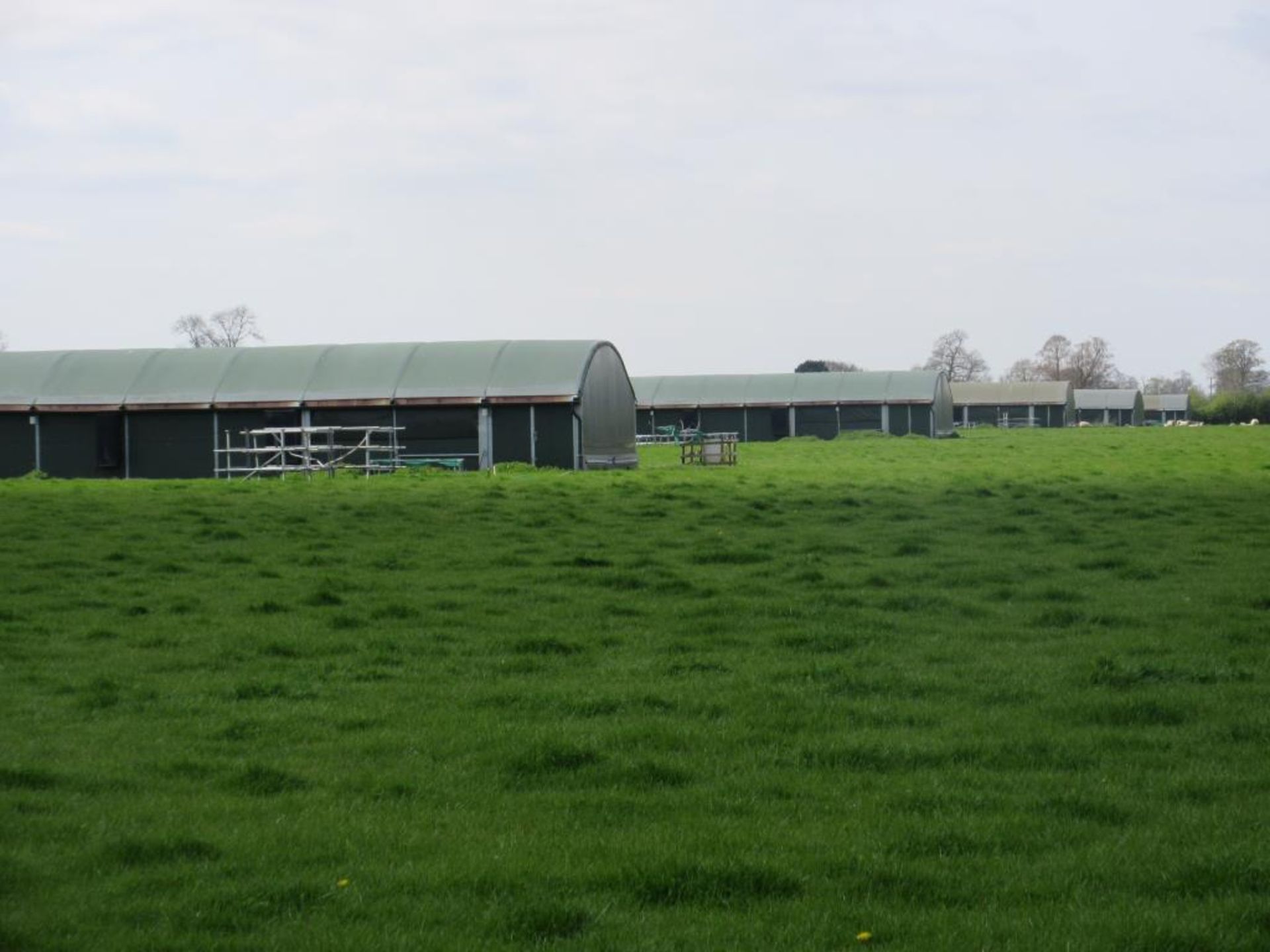 Halo pullet-rearing sheds; 6no 18m x9m mobile rearing sheds. 3 Purchased in February 2011; 3 - Image 5 of 9