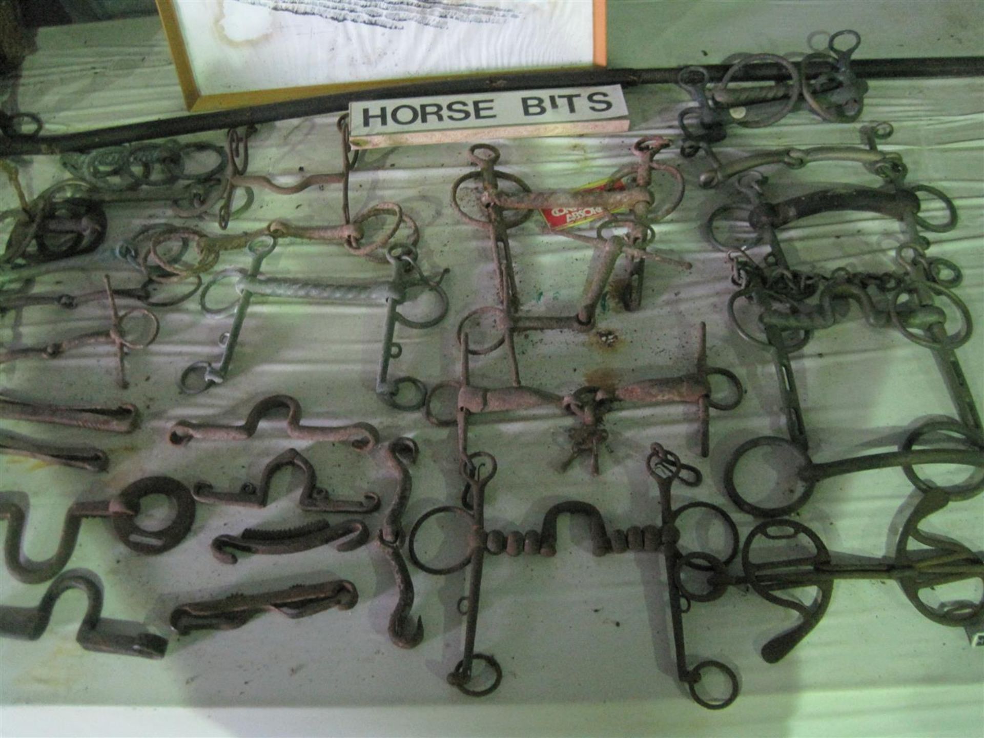 Large selection of heavy horse bits