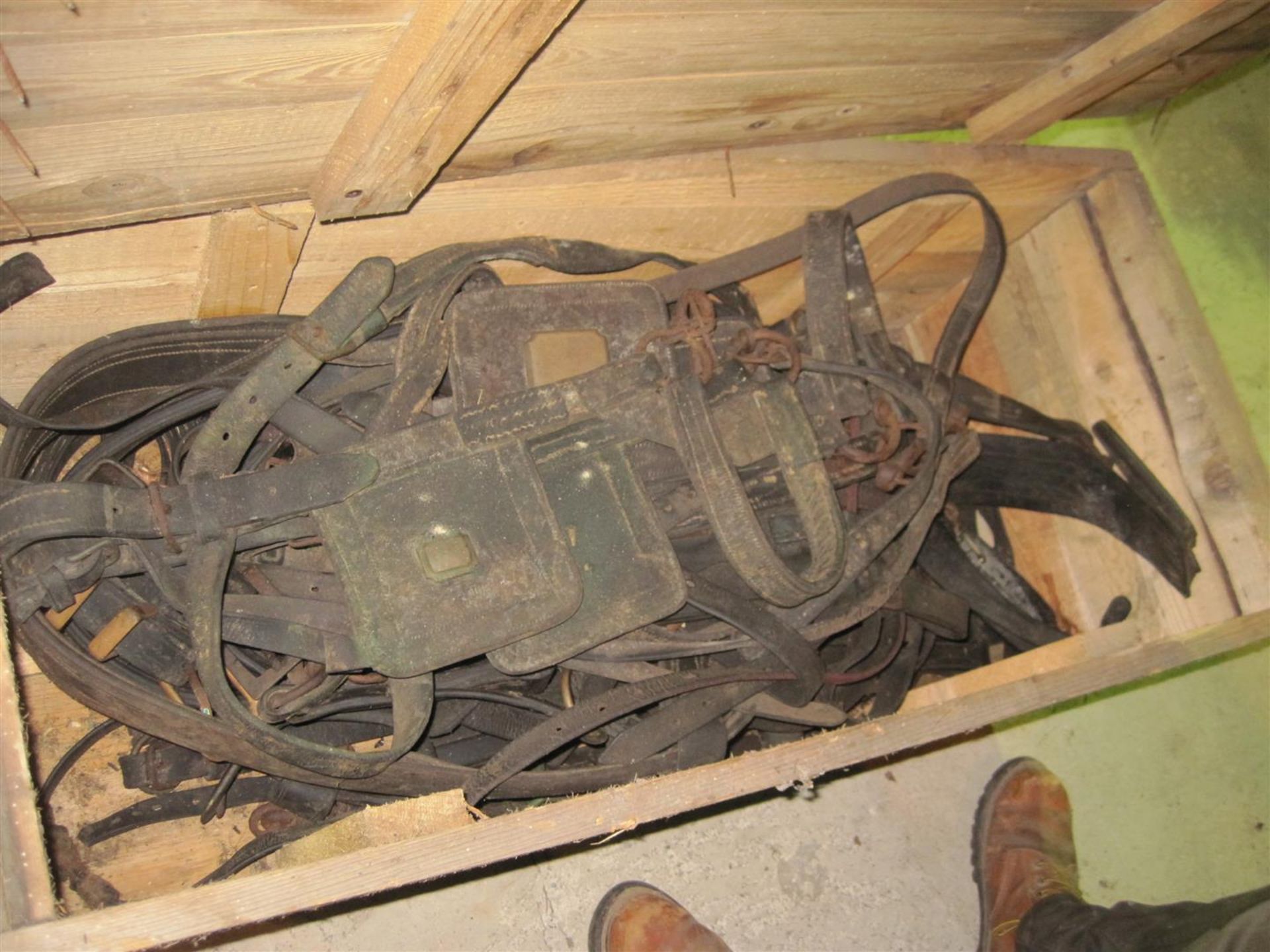 Wooden box containing qty heavy horse harness