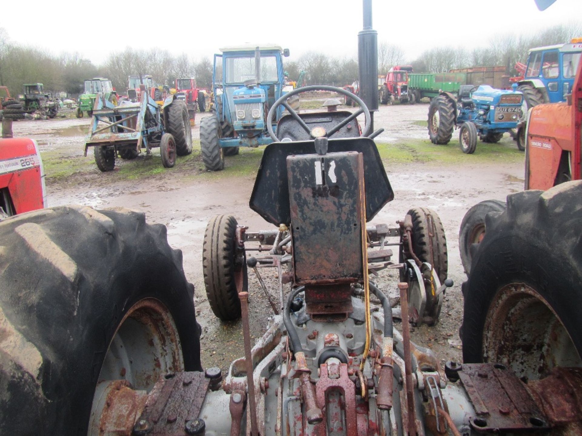 Massey Ferguson 265 Tractor c/w Std Gearbox Reg No SPR 216X Ser No 186518 - Image 5 of 6