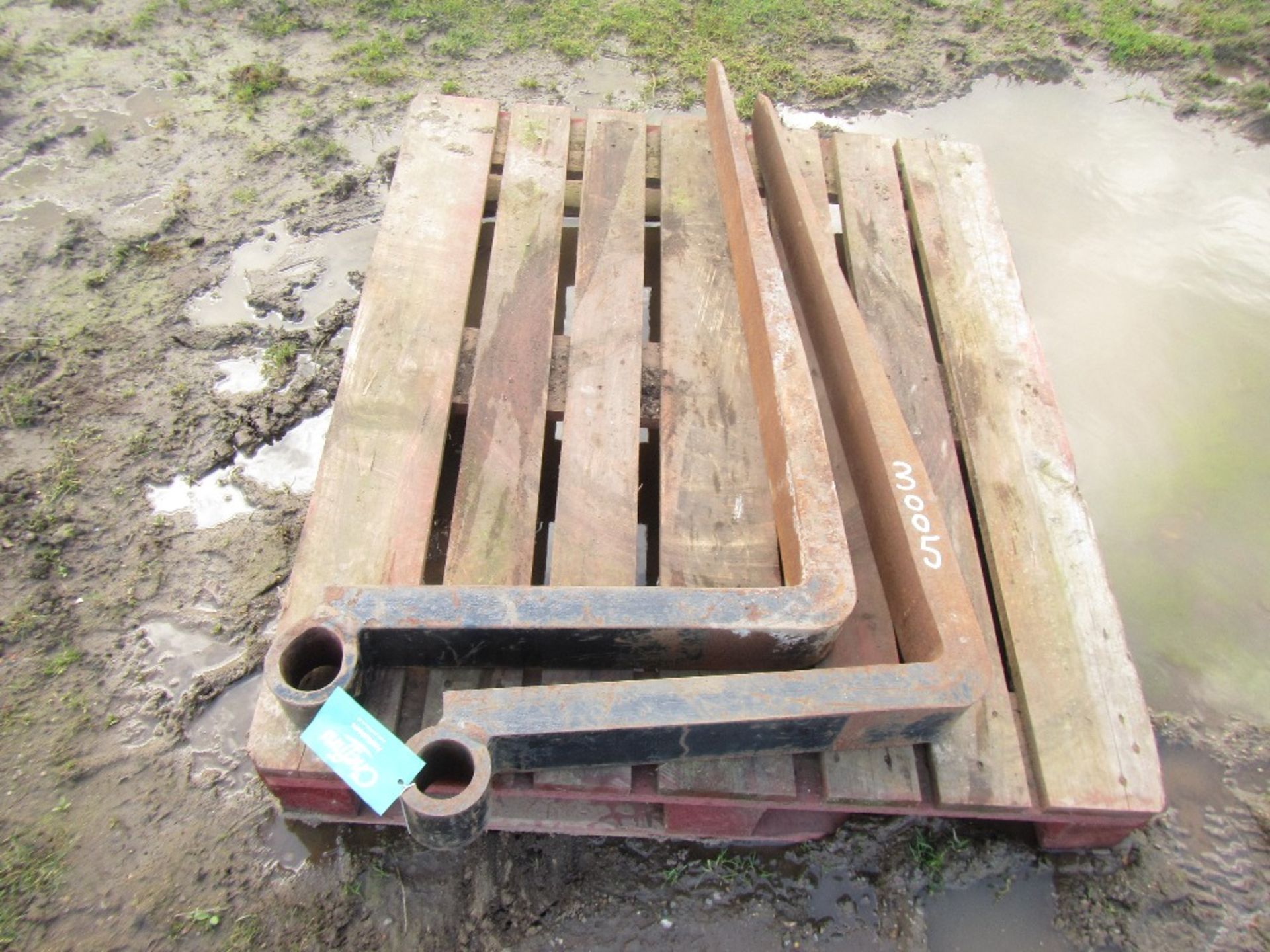 Pair of Pallet Tines