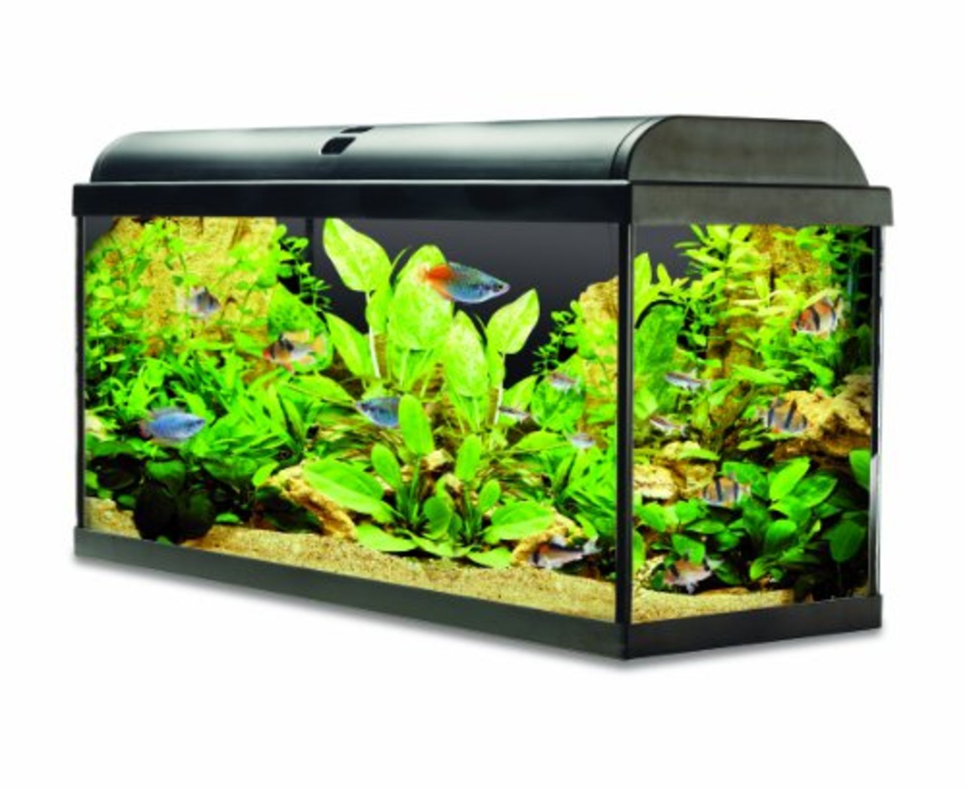 Interpet Aquaverse Glass Aquarium Premium Kit - 110L RRP £299.99