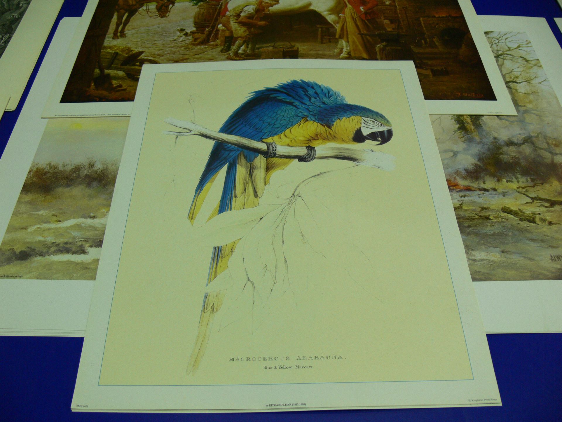 Five copies each of three coloured prints. 'The Forge' by Fortunino Matania (47cm x 56cm), 'Clearing - Image 5 of 8