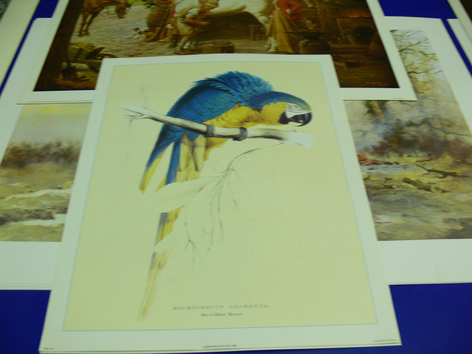 Five copies each of three coloured prints. 'The Forge' by Fortunino Matania (47cm x 56cm), 'Clearing - Image 2 of 8
