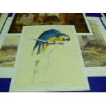 This is a Timed Online Auction on Bidspotter.co.uk, Click here to bid. Three copies each of three