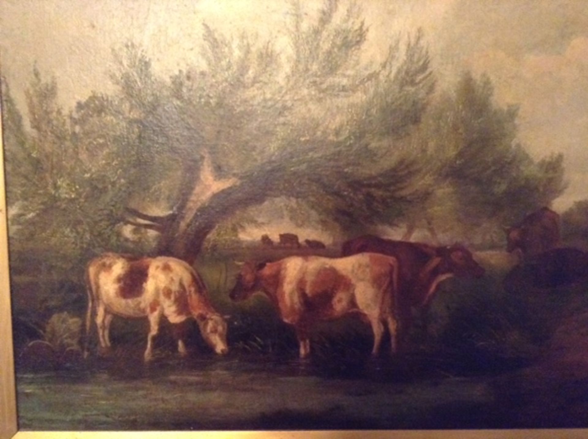 Old oil cows signed t s cooper ra 1850 - Image 2 of 3