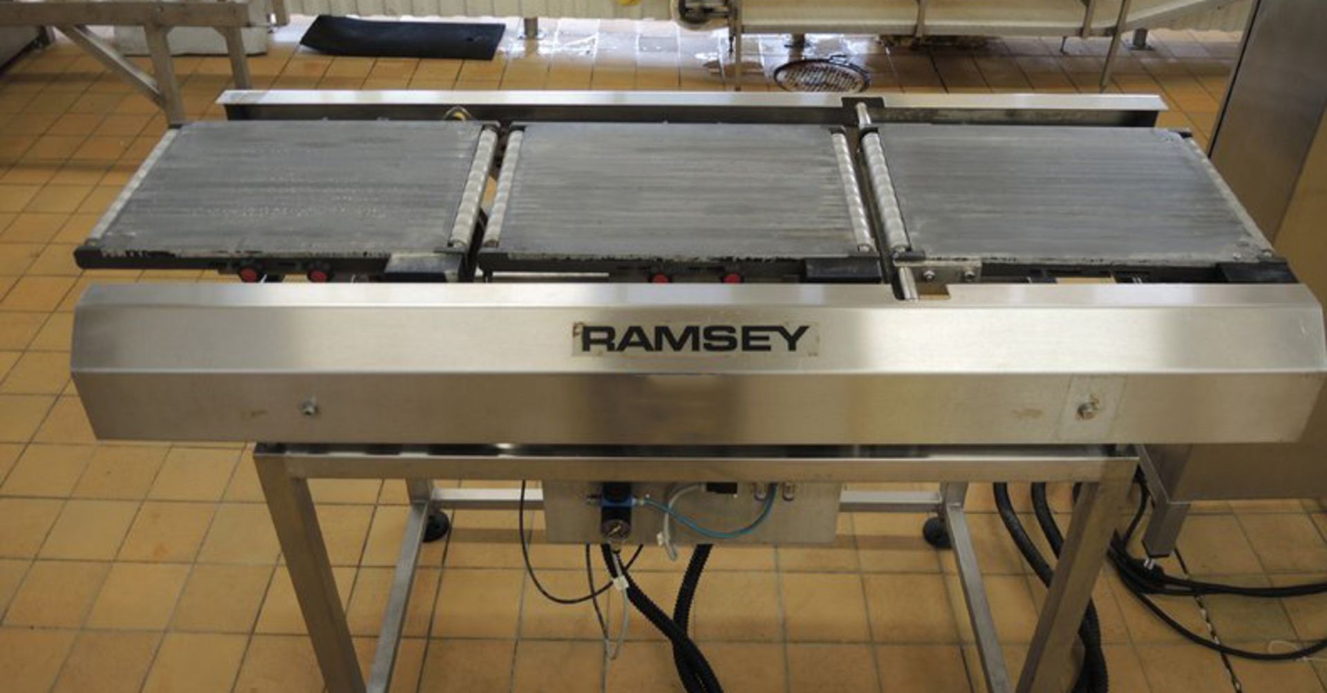 RAMSEY CHECKWEIGHER - Image 4 of 4