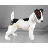 A Royal Doulton figure, fox terrier, issued 1927-40, HN 945 14cm high