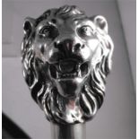 A mahogany walking stick, with silver lion head handle, 93cm high.