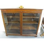An oak glazed bookcase, the pair of doors enclosing three adjustable shelves (one door cracked),