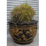 A large terracotta garden planter, decorated a pair of dragons 65cm diameter