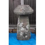 A staddle stone with mushroom top