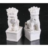 A pair of Chinese blanc de Chine incense holders in the form of temple lions raised on rectangular