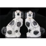 Two Staffordshire pottery models of spaniels, 30cm high.