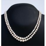 A two row graduated natural pearl necklace with yellow metal clasp, 37cms long.