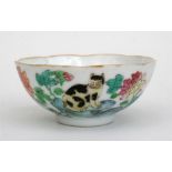 A 19th century Chinese saucer dish, decorated with a cat and flowers, red underglaze bat and peach