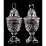 A pair of 19th century Irish cut glass bonbon dishes and covers, 17cm (6.75Ins) high. Condition