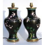 A pair of Chinese cloisonne vase lamps decorated with prunus and butterflies on a black ground, 34cm