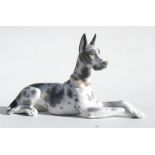 A Lladro figure in the form of a recumbent Great Dane dog, 31cm (12ins) long. Condition Report
