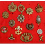 Fifteen Military badges mounted on a display board.