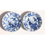 A pair of Chinese Kangxi blue and white plates, decorated with flowers, 22cm (8.5ins) diameter.