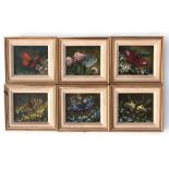 Geoff Biggs (Modern British) - Studies of Butterflies - a set of six, oil on board, signed lower