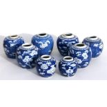A group of eight Chinese blue & white prunus ginger jars, six 13cm (5ins) high two 9cm (3.5ins) (8).