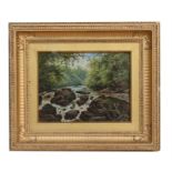 T Spinks - Forest River Scene - signed and dated 1888, oil on board, framed and glazed, 31 by