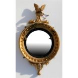 A Regency gilded convex mirror surmounted with an eagle 85cm (33.5ins) high.