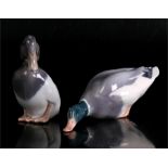 Two Royal Copenhagen figures of ducks. Largest 19cm (7.5ins) long.