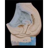 An anatomical medical model of the female reproductive system, 34cms (13.5ins) high.