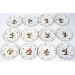 A set of twelve Meissen ornithological plates, each decorated to the centre with a different bird