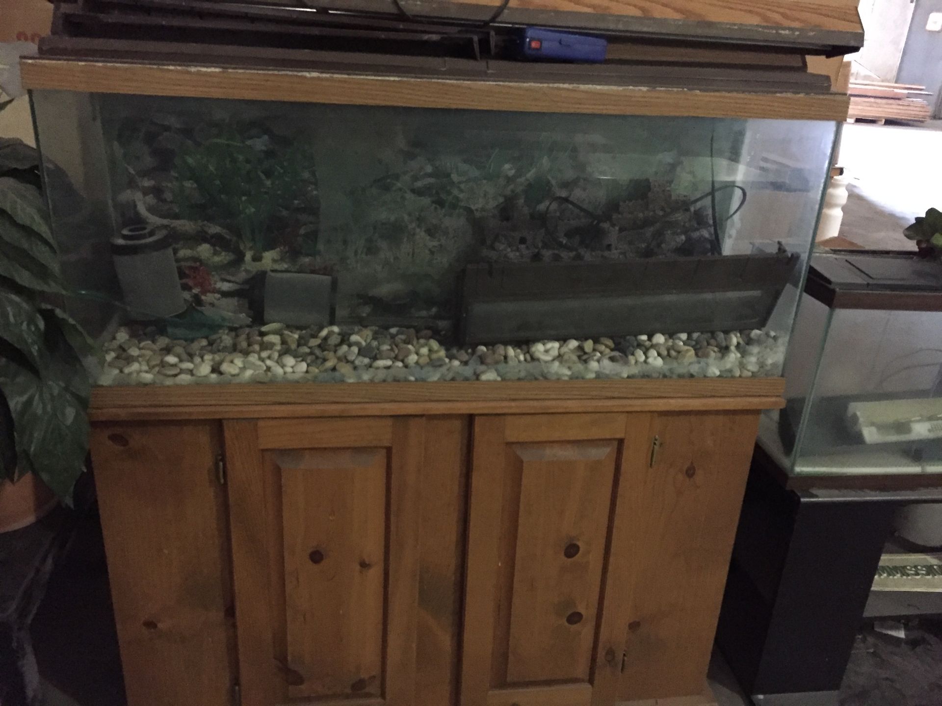 FISH AQUARIUMS & SUPPLIES - Image 2 of 4