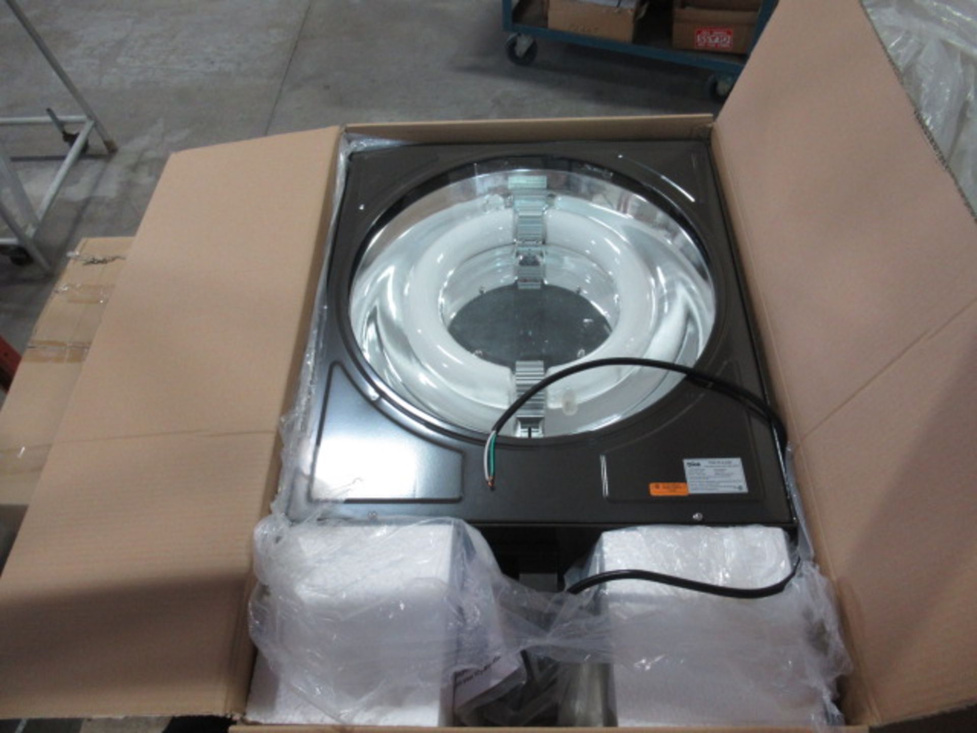 Induction flood lighting FL3-250-B