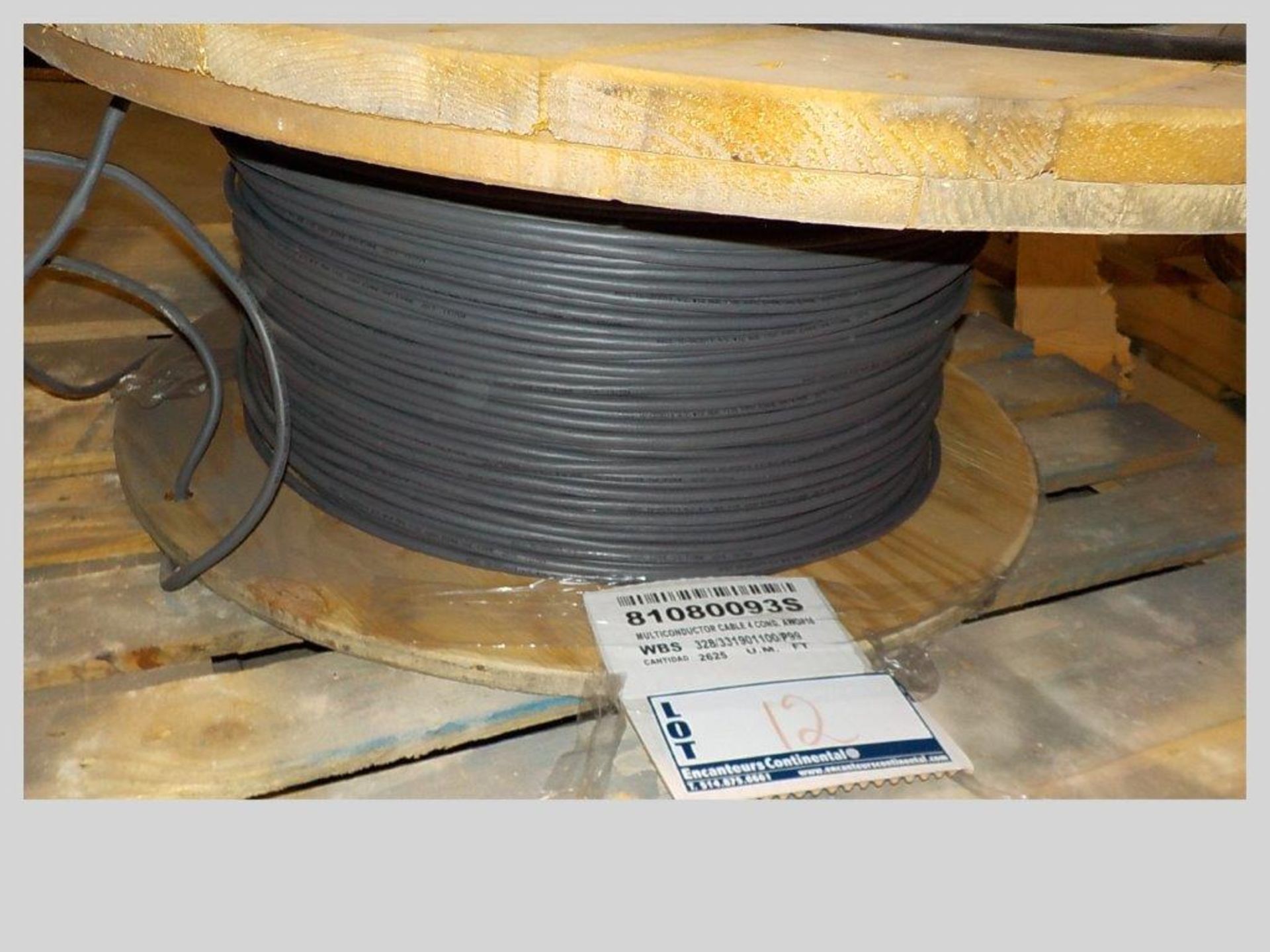 lot: wire / fils: Multiconductor cable, 4 cond. (2,625')