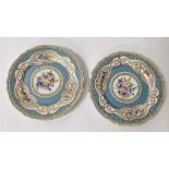 A pair of European cabinet plates, each on decorated with a gilded gilded relief and a spray of